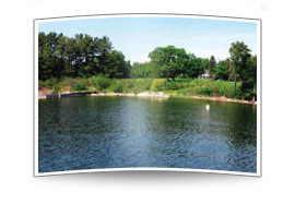 Les Narrows