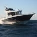 Barracuda 9 Fly