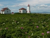 phare et rosiers - ile Verte