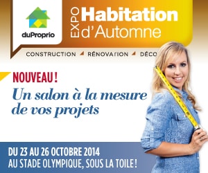 Big_box_300x250_ExpoHabitation