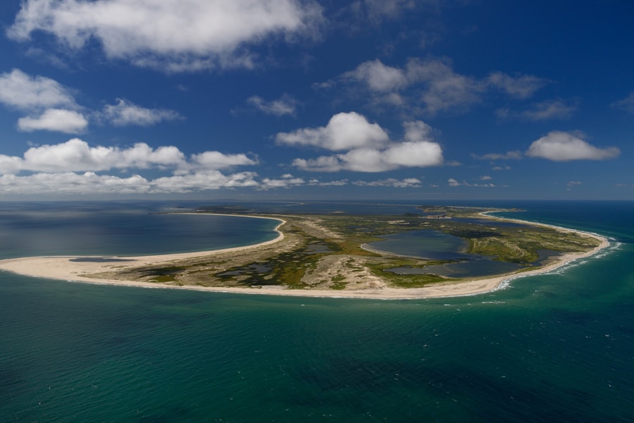 photo-3-plage-de-la-grande-echouerie-credit-photo-michel-bonato