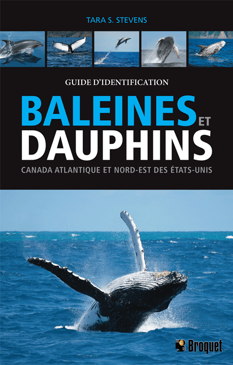 guide-d-identification-baleines-et-dauphins