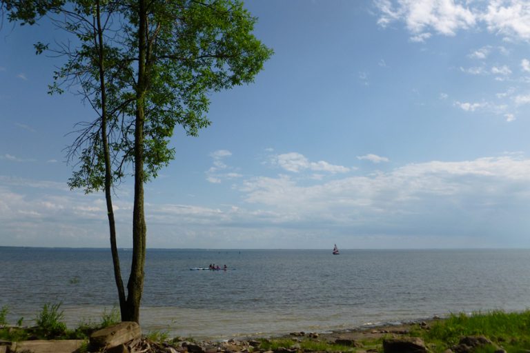 Plus de 635 000 pour la conservation du lac SaintPierre Québec