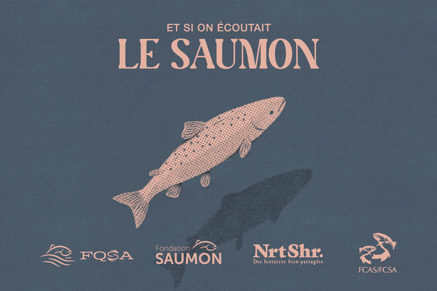 Documentaire Et si on écoutait le saumon : une réflexion actuelle sur l’avenir du saumon atlantique.