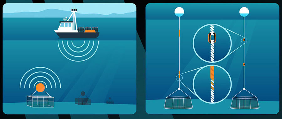 Engins de pêche sécuritaires pour les baleines. Crédit photo : Pêches et Océans Canada.