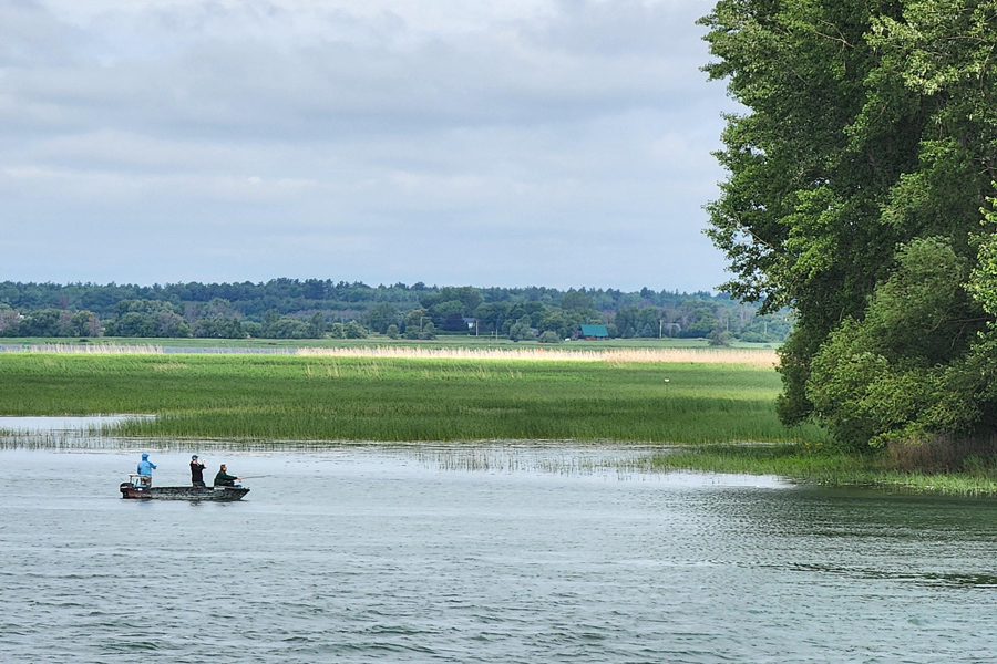 Pêche sur le Saint-Laurent à Contrecoeur. 