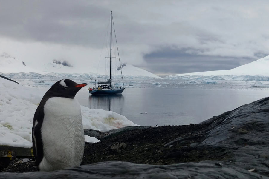 Antarctique. Crédit photo : LifeSong Expeditions.